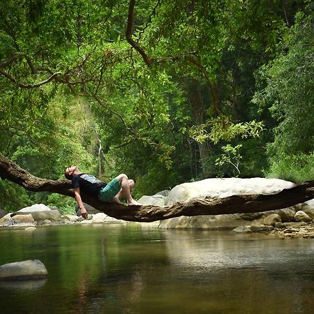 Ella Jungle Resort Zewnętrze zdjęcie
