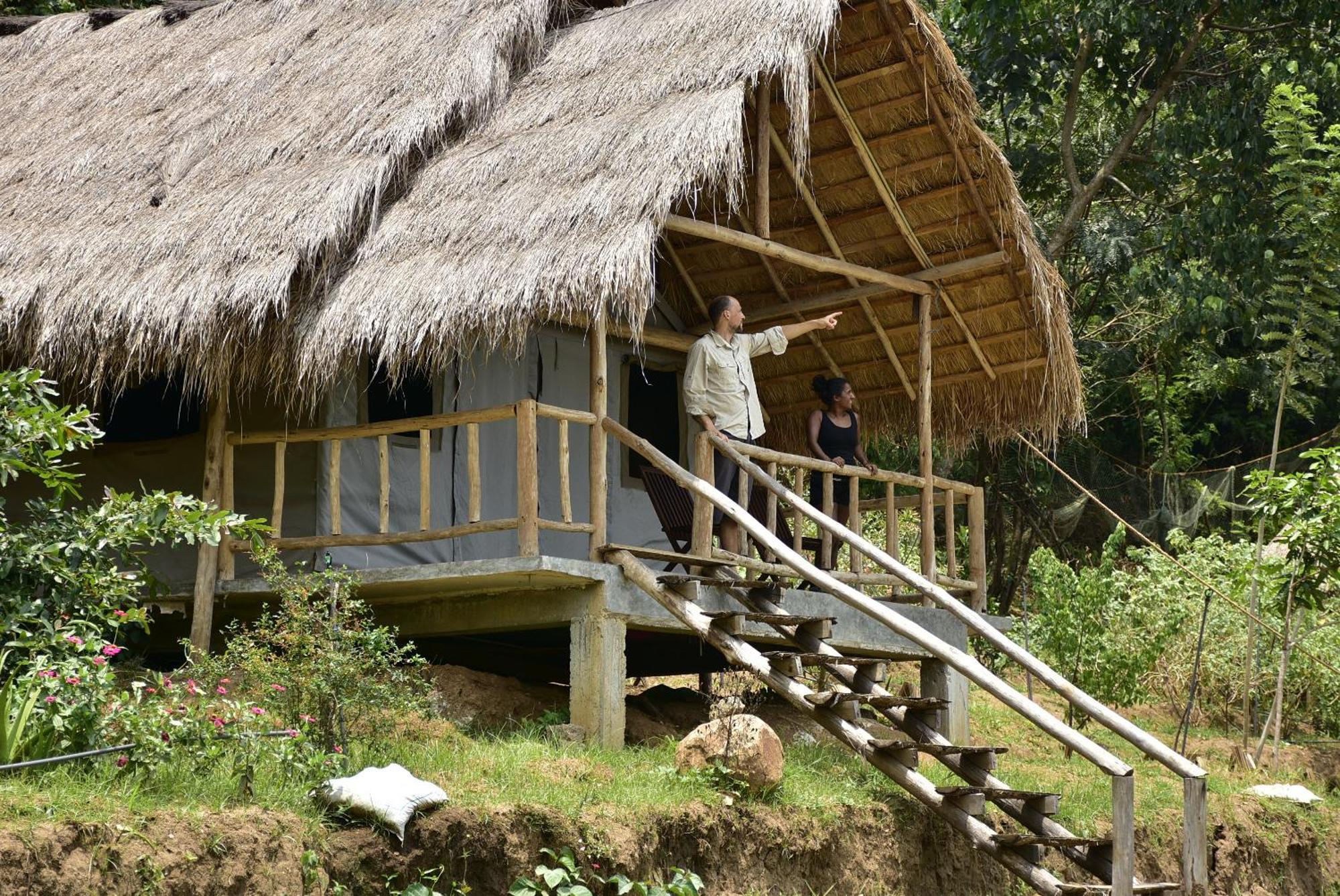 Ella Jungle Resort Zewnętrze zdjęcie