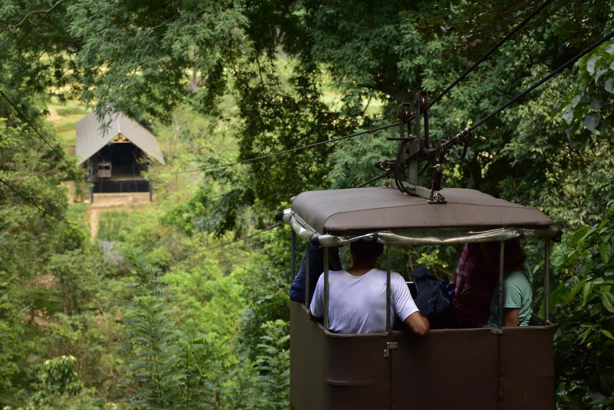 Ella Jungle Resort Zewnętrze zdjęcie