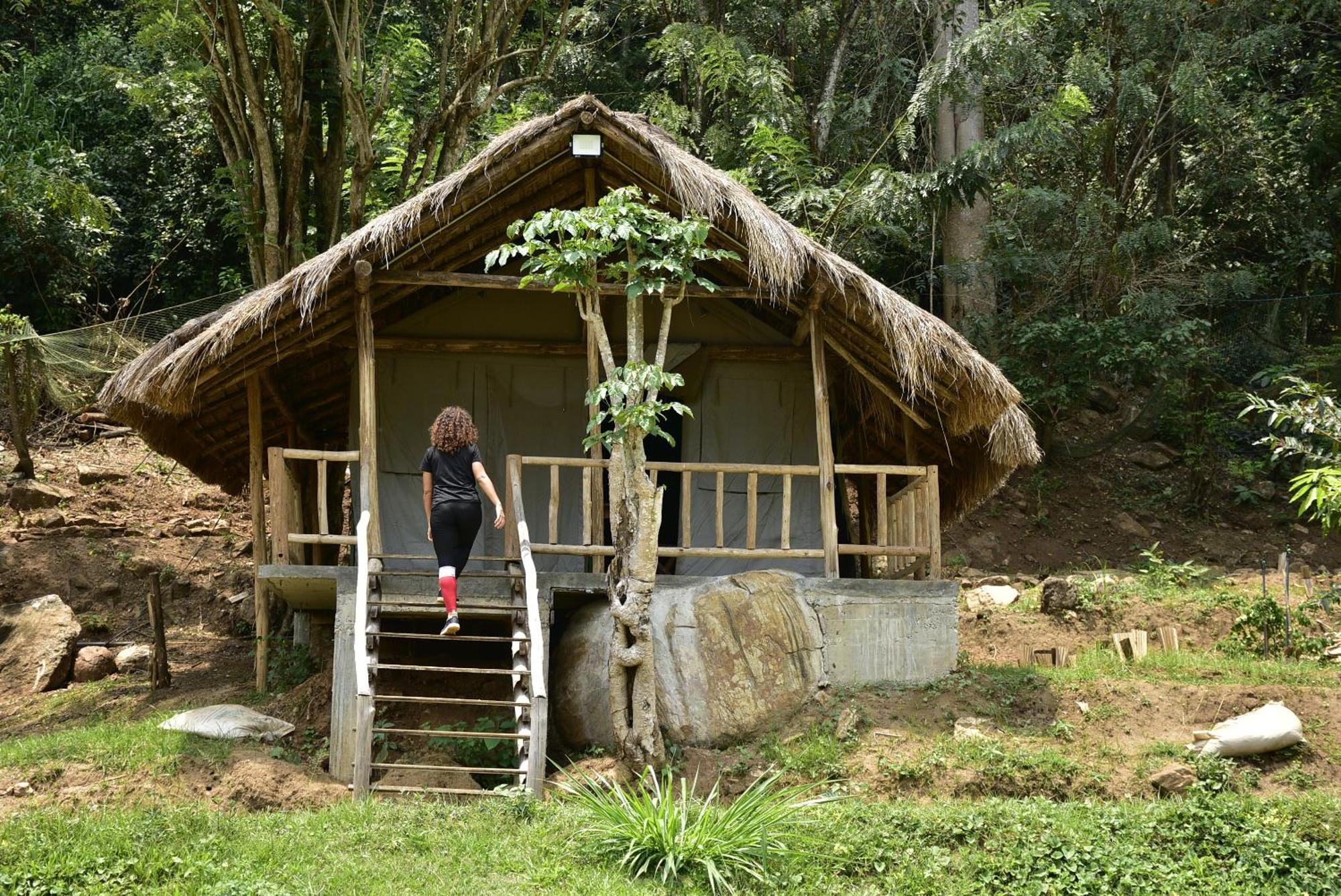 Ella Jungle Resort Zewnętrze zdjęcie