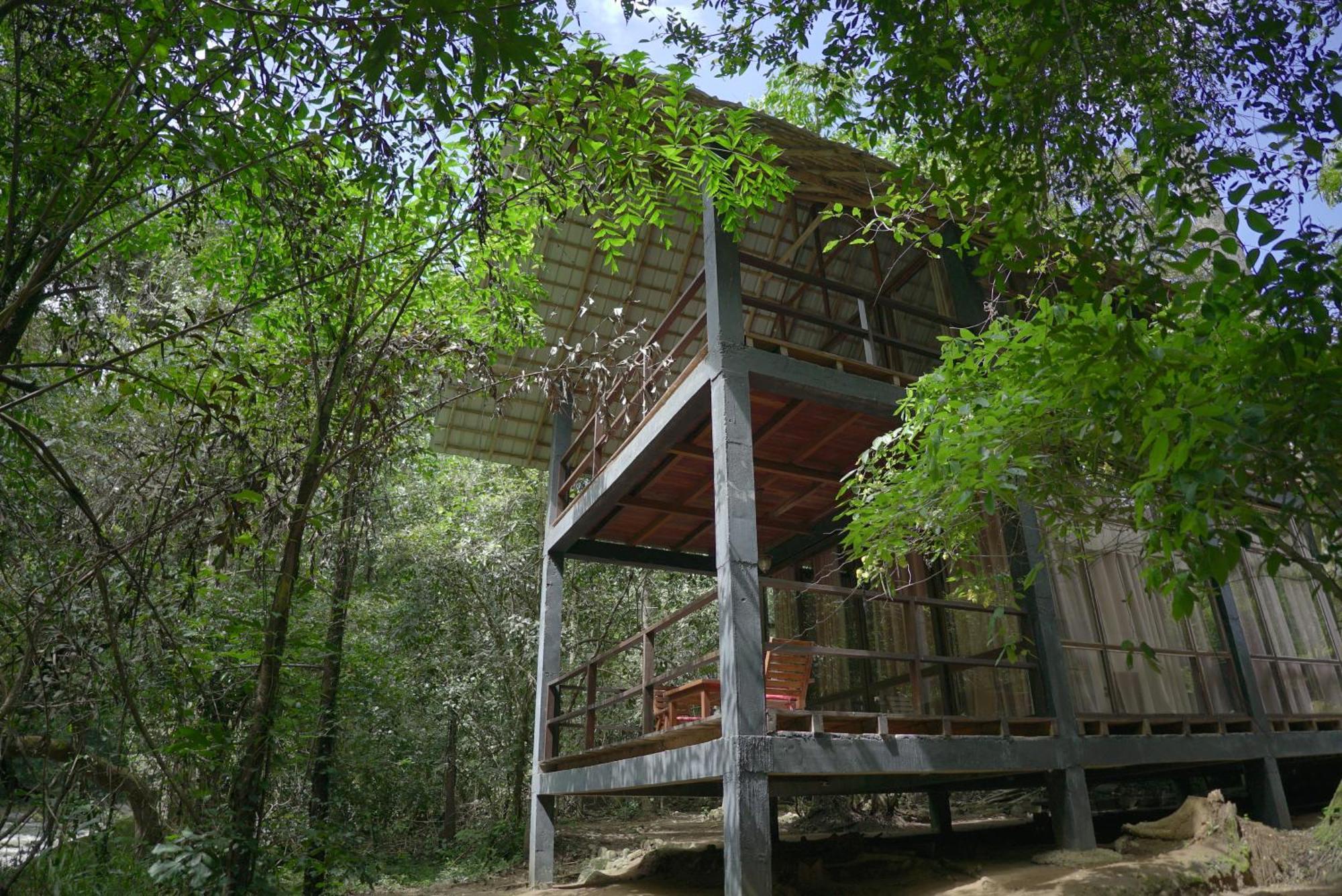 Ella Jungle Resort Zewnętrze zdjęcie