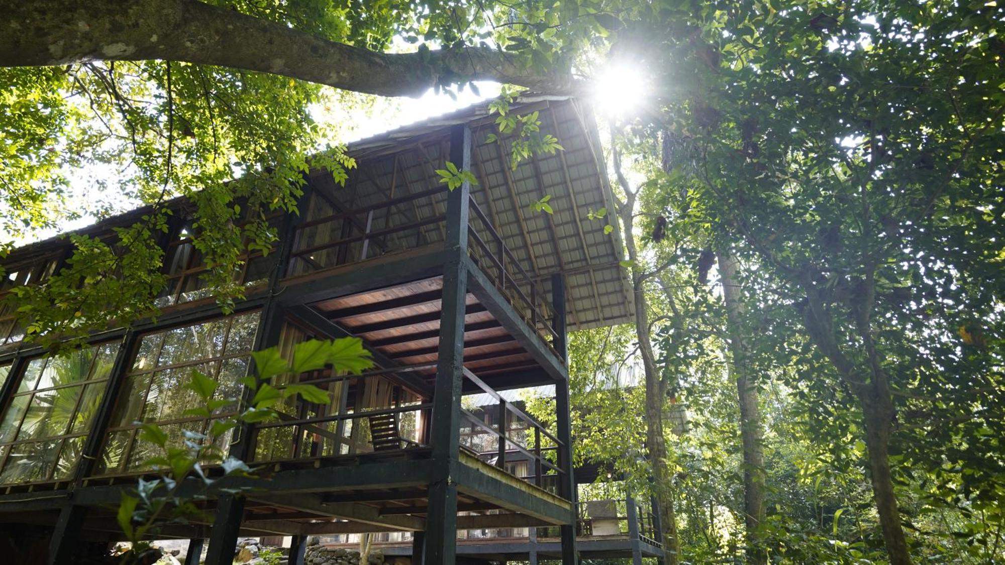 Ella Jungle Resort Zewnętrze zdjęcie