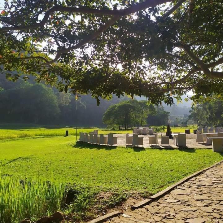 Ella Jungle Resort Zewnętrze zdjęcie