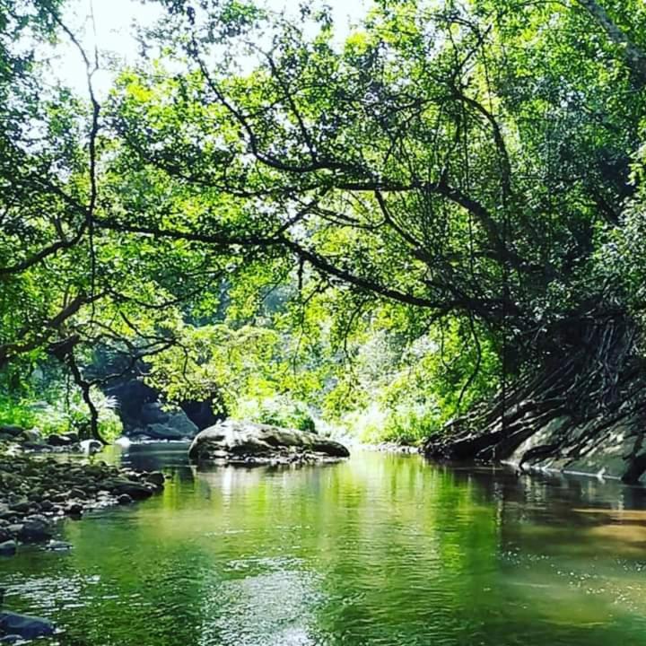 Ella Jungle Resort Zewnętrze zdjęcie