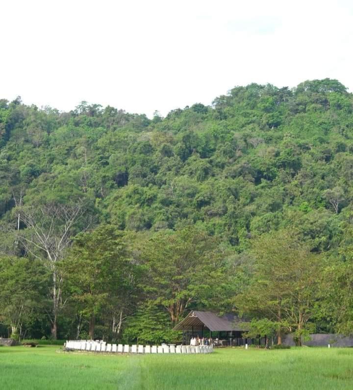 Ella Jungle Resort Zewnętrze zdjęcie