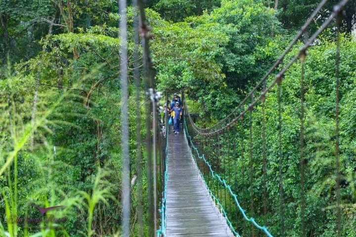 Ella Jungle Resort Zewnętrze zdjęcie
