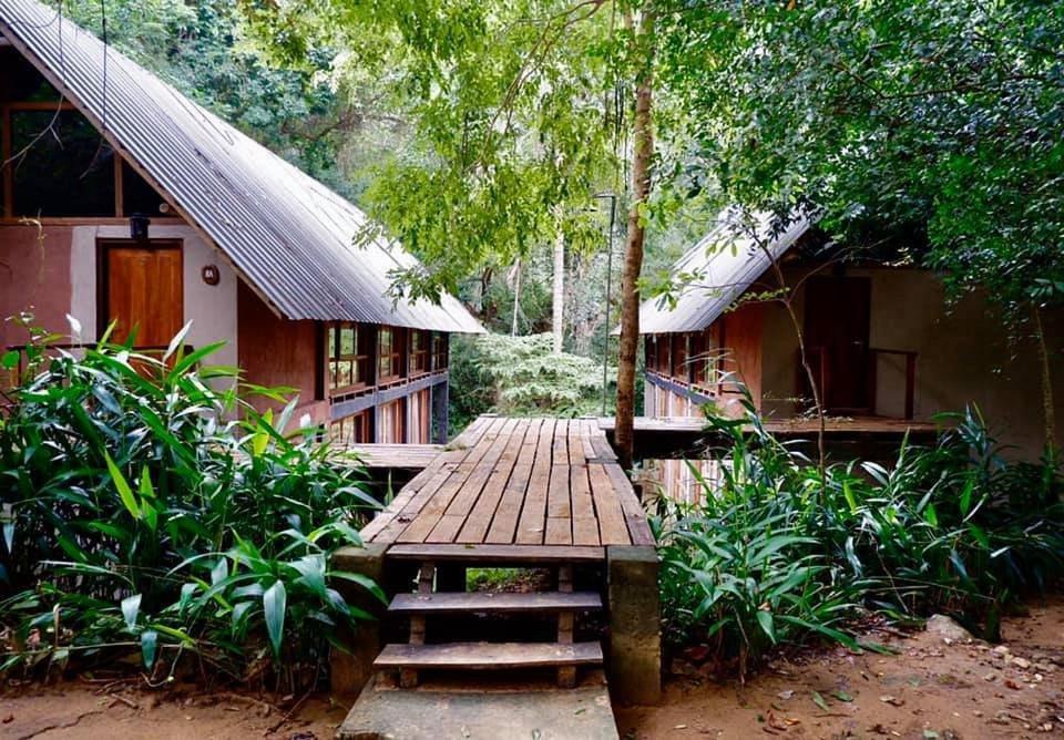 Ella Jungle Resort Pokój zdjęcie