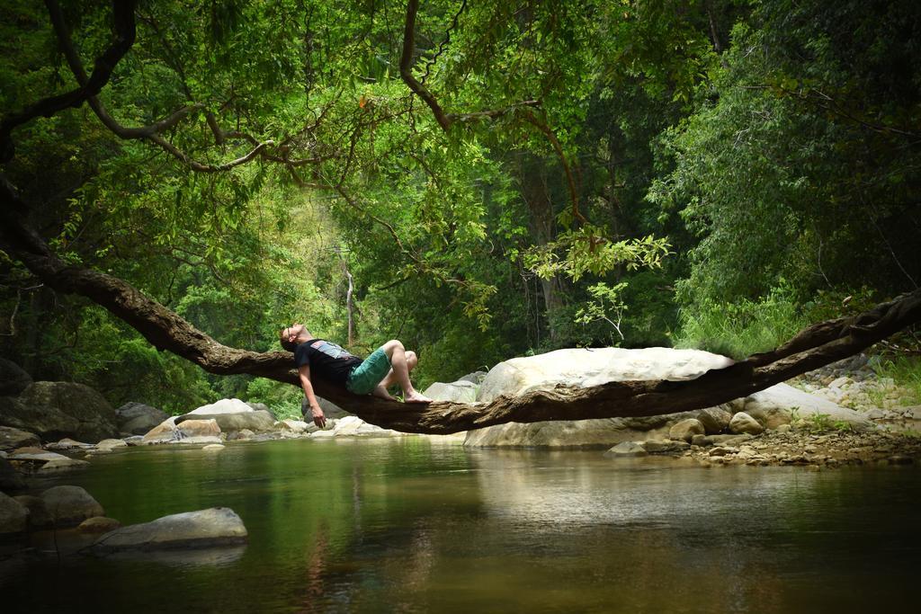 Ella Jungle Resort Zewnętrze zdjęcie