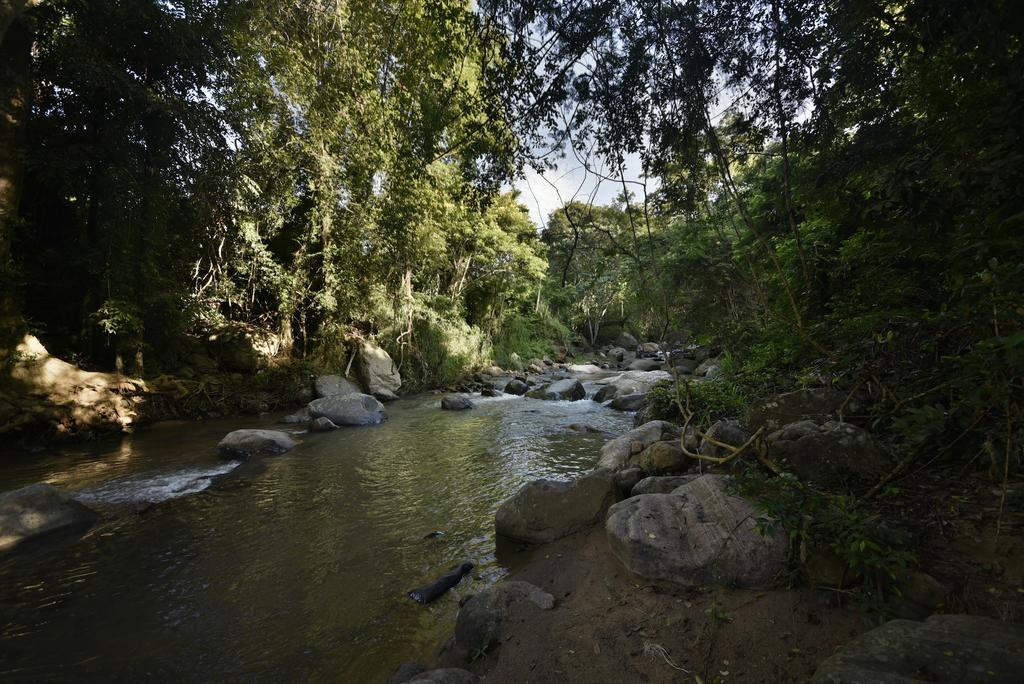 Ella Jungle Resort Zewnętrze zdjęcie