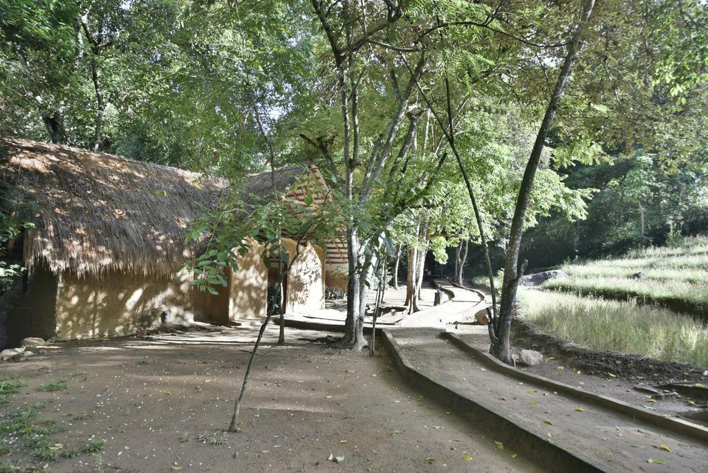 Ella Jungle Resort Zewnętrze zdjęcie