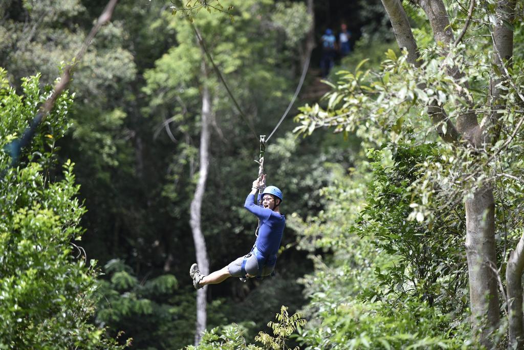 Ella Jungle Resort Zewnętrze zdjęcie